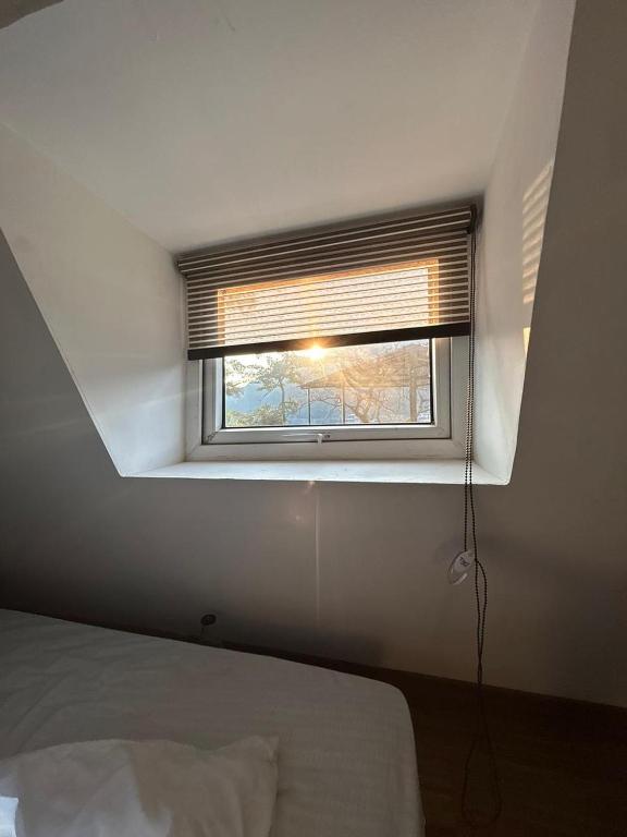 Serene bedroom